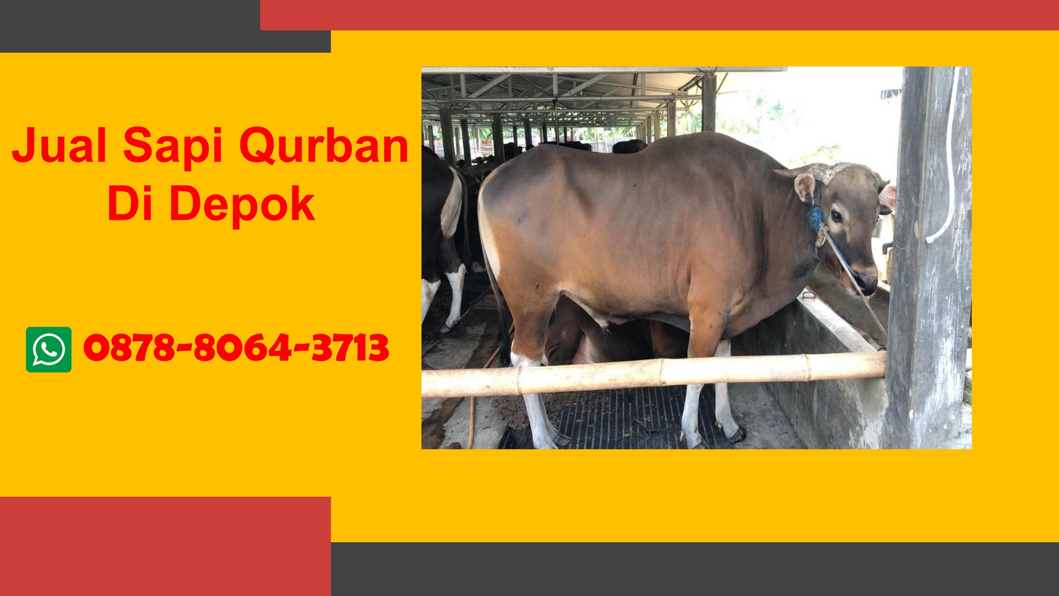 WA 0878-8064-3713  Harga Sapi Qurban Di Wilayah Sukmajaya Depok
